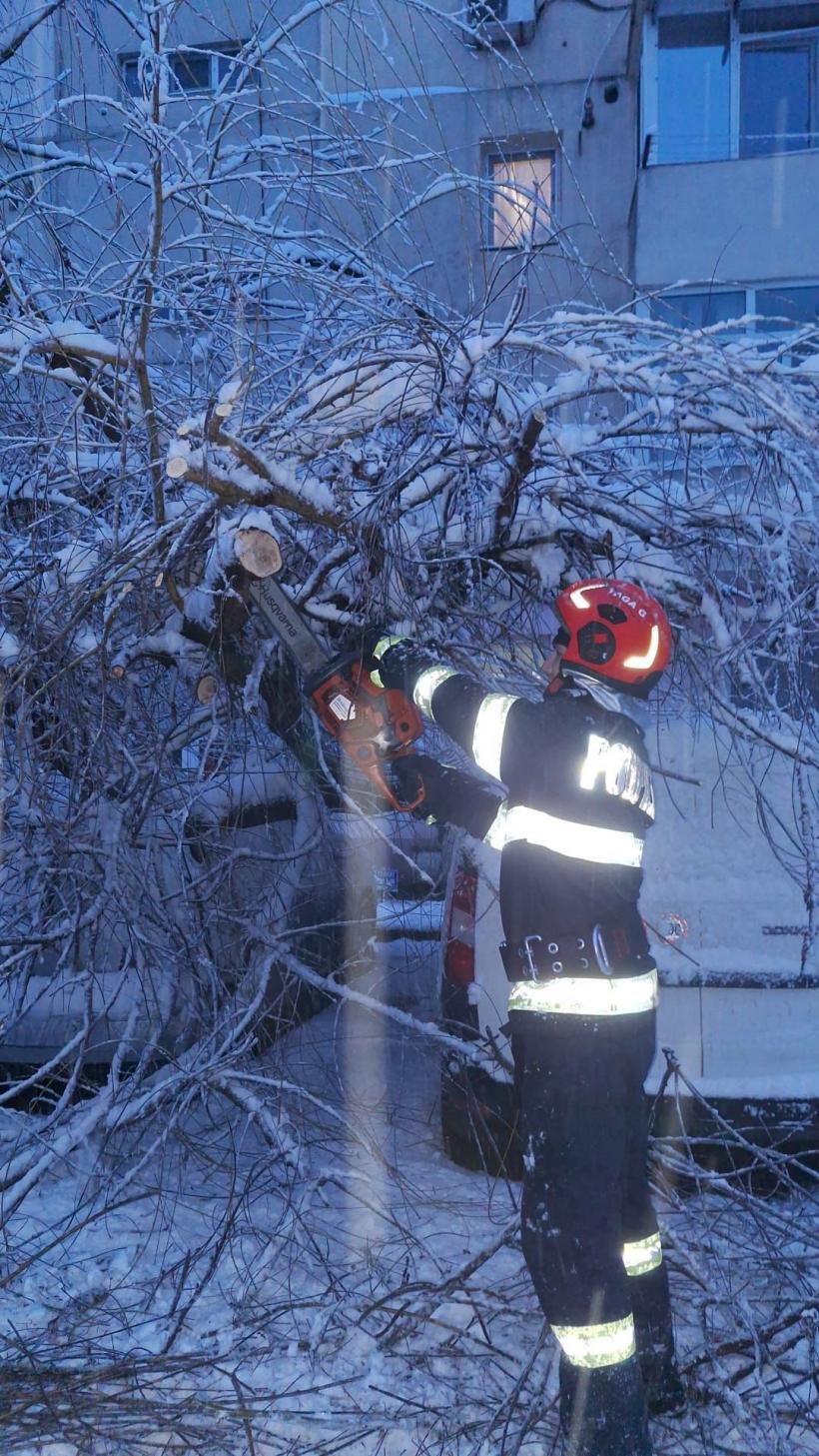 Haos în Capitală după ninsoare: 183 de copaci rupți, zeci de mașini avariate și un microbuz blocat