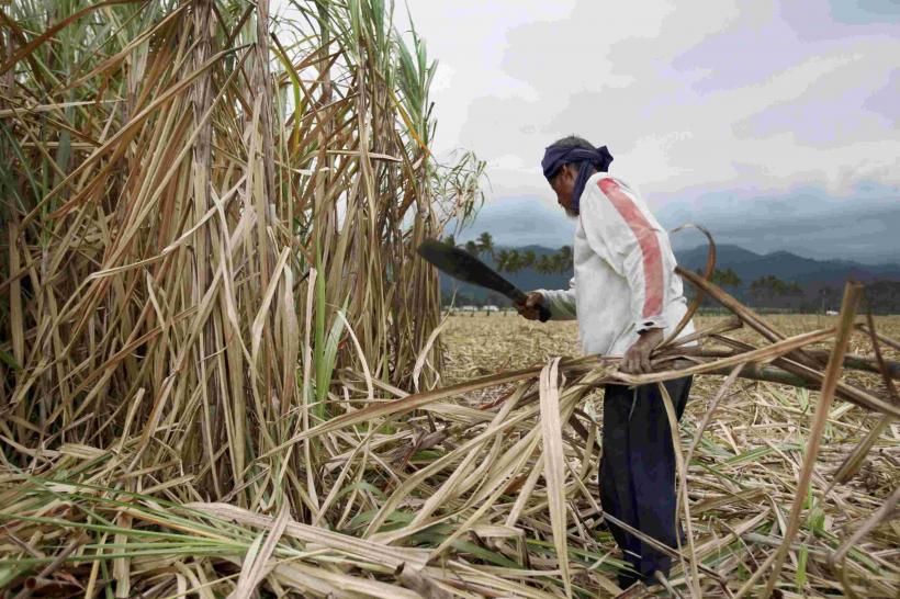 Noul meniu european: peste 100 de substanțe periculoase, în alimentele aduse din Mercosur