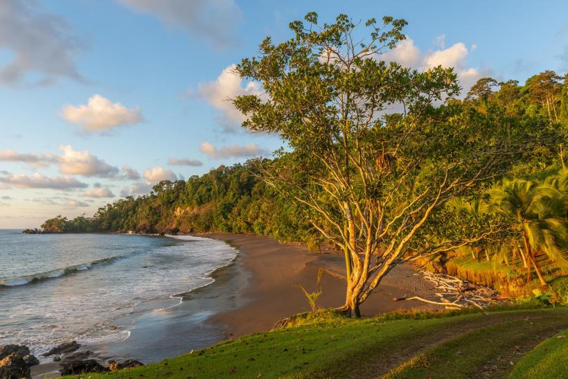 Caraibe britanice și vis latino-american 18995430
