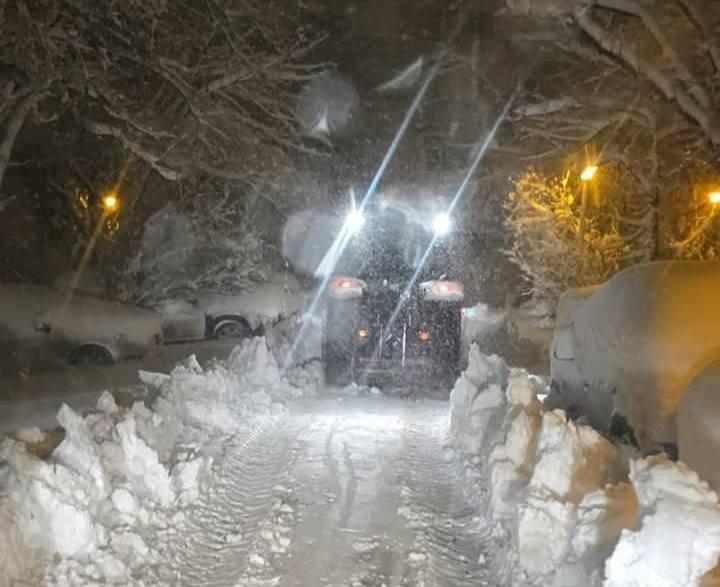 Haos provocat de ninsori și viscol: copaci doborâți în București, drumuri blocate și șoferi captivi în zăpadă