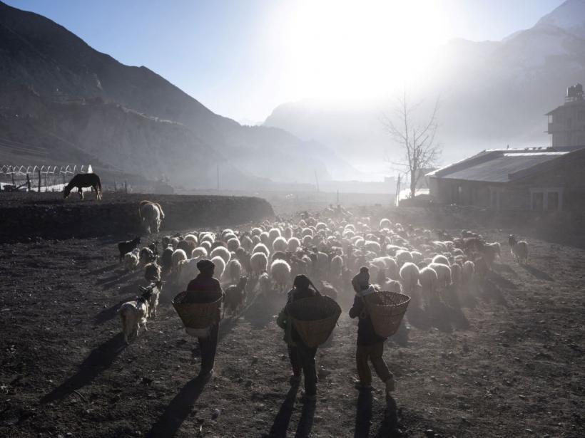 Evoluția umană nu s-a oprit: Cum s-au adaptat locuitorii din Tibet la condiții extreme