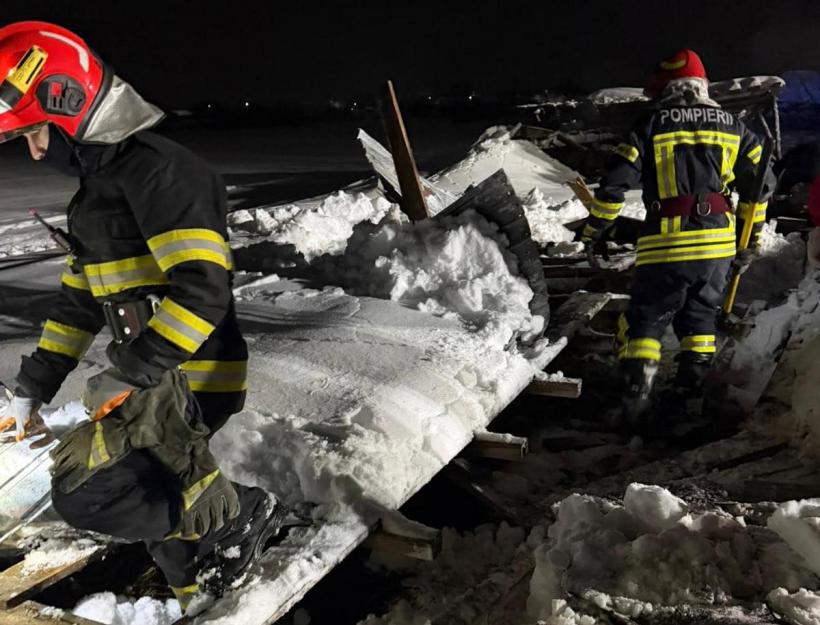 Acoperișul unui saivan s-a prăbușit în Prahova din cauza zăpezii depuse. 30 de animale au murit