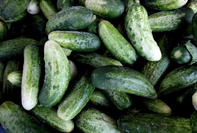 Castravetele: alimentul-minune care te hidratează, te ajută să slăbești și îți protejează sănătatea