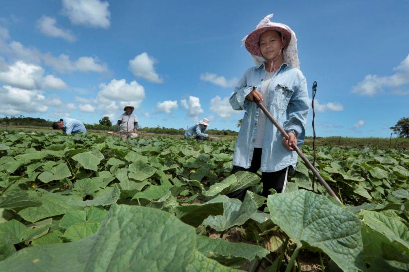 Teritoriile de peste mări ale Europei: Între moștenire colonială și strategie globală