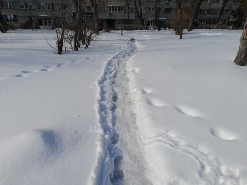 Deszăpezirea prin topire: Bucureștiul, orașul marilor lacuri apărute peste noapte 18995843