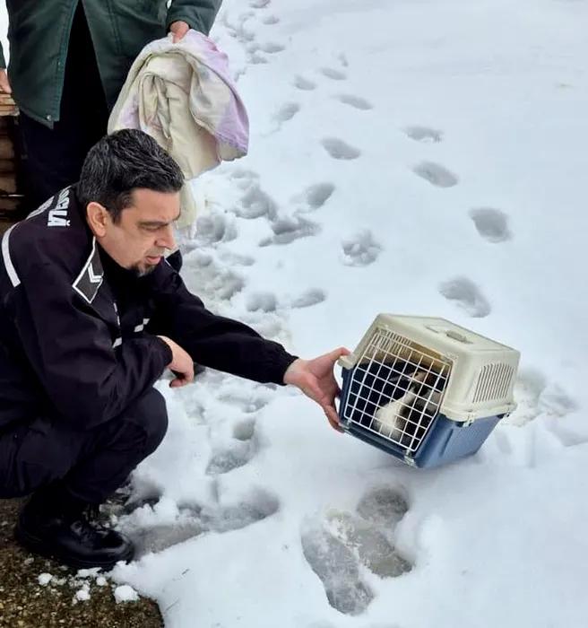 Pasăre dintr-o specie protejată, salvată de un polițist local pe Șoseaua Olteniței din Capitală 18996197