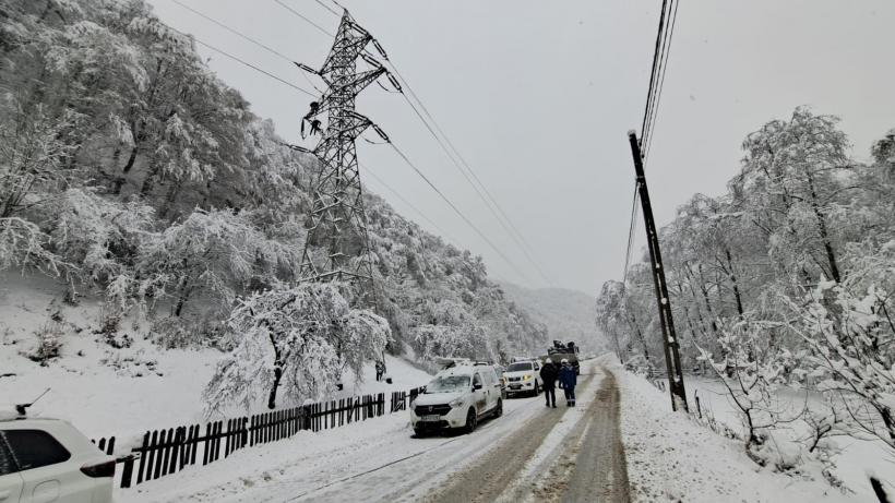 Grupul Electrica a înregistrat în 2025 un profit net record