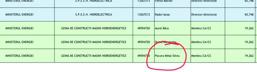 Traiul unui „protejat de stat”: posturi babane în administrații, pierderi de zeci de milioane de lei 18996616