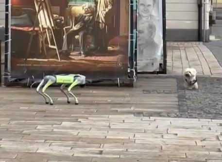 Roboți-gunoieri într-un oraș al României