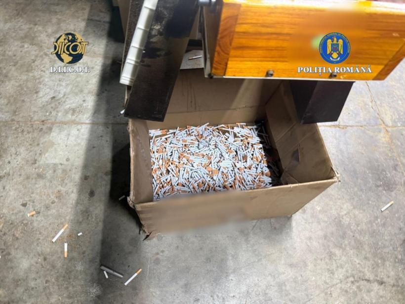 Fabrică ilegală de țigări, descoperită în funcțiune la periferia Timișoarei. Tone de tutun 18997460