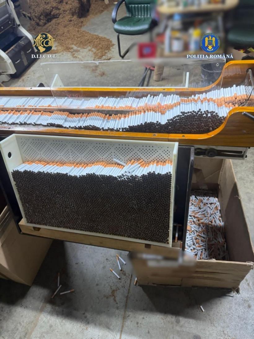 Fabrică ilegală de țigări, descoperită în funcțiune la periferia Timișoarei. Tone de tutun 18997461