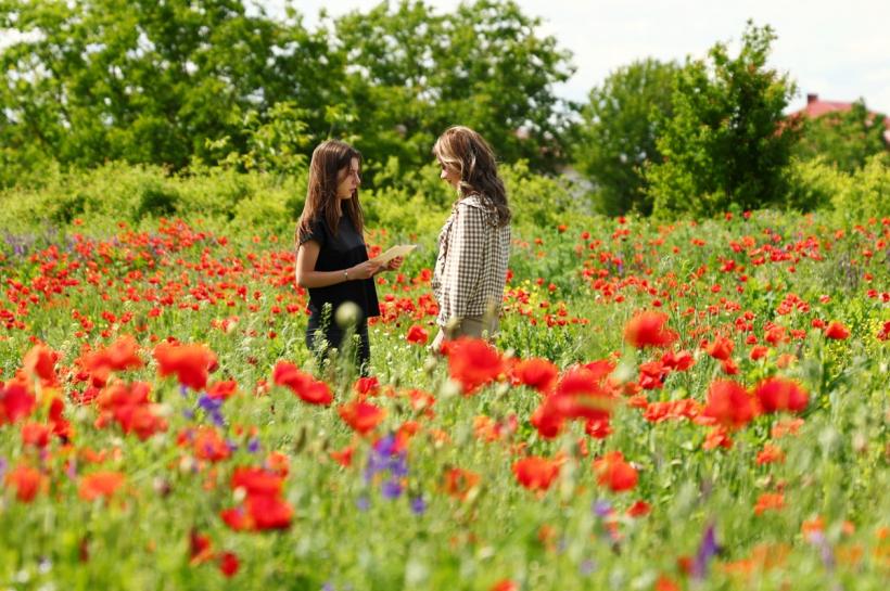 Serialul Iubire cu parfum de lavandă lansează spin-off-ul Destine cu parfum de lavandă, din 16 aprilie, în fiecare joi, de la 20.30, la Antena 1 18997647