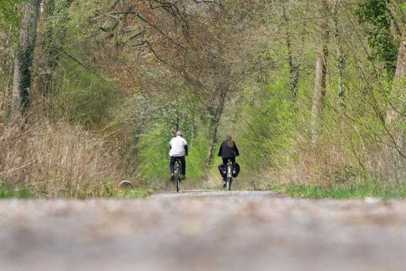 Creier mai tânăr prin sport: Ce arată cercetările recente?