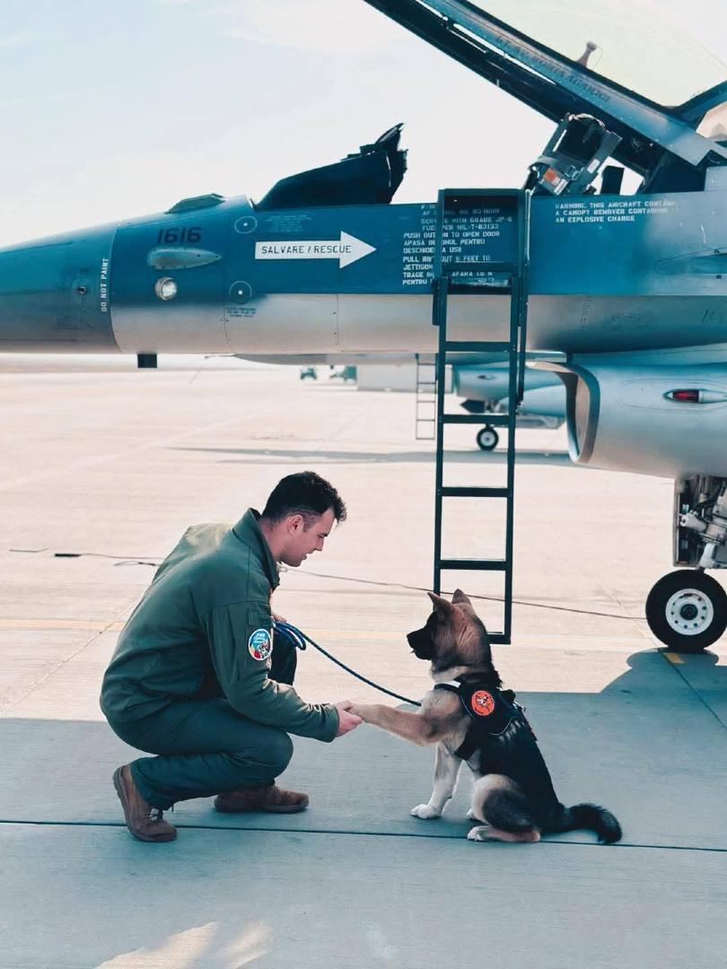 Octavian, un tânăr pilot militar, a murit salvând un câine în incinta Bazei 86 Aeriană