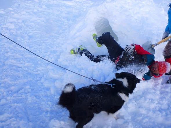 Misiune la înălțime: Cum se pregătesc câinii și salvatorii montani pentru avalanșe 18998913