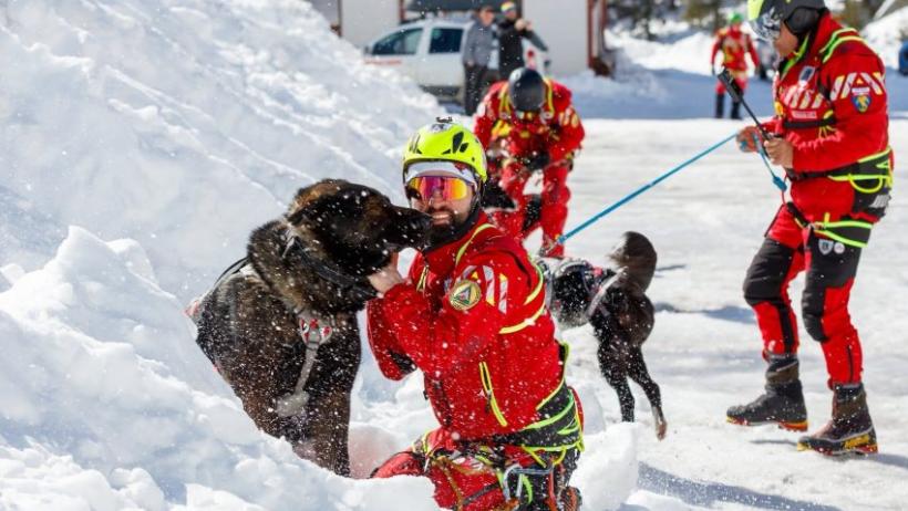 Misiune la înălțime: Cum se pregătesc câinii și salvatorii montani pentru avalanșe 18998915