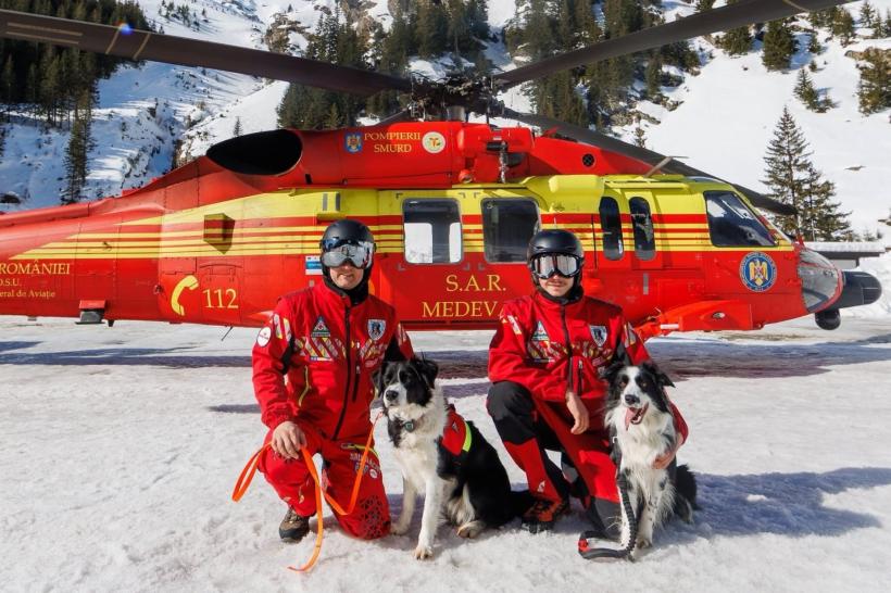 Misiune la înălțime: Cum se pregătesc câinii și salvatorii montani pentru avalanșe 18998918