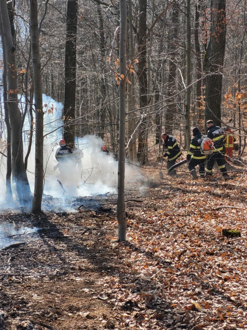 Incendiile de vegetație din Nănești și Racșa au fost lichidate