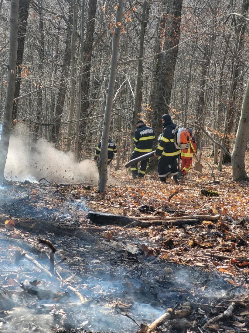 Incendiile de vegetație din Nănești și Racșa au fost lichidate 18999089