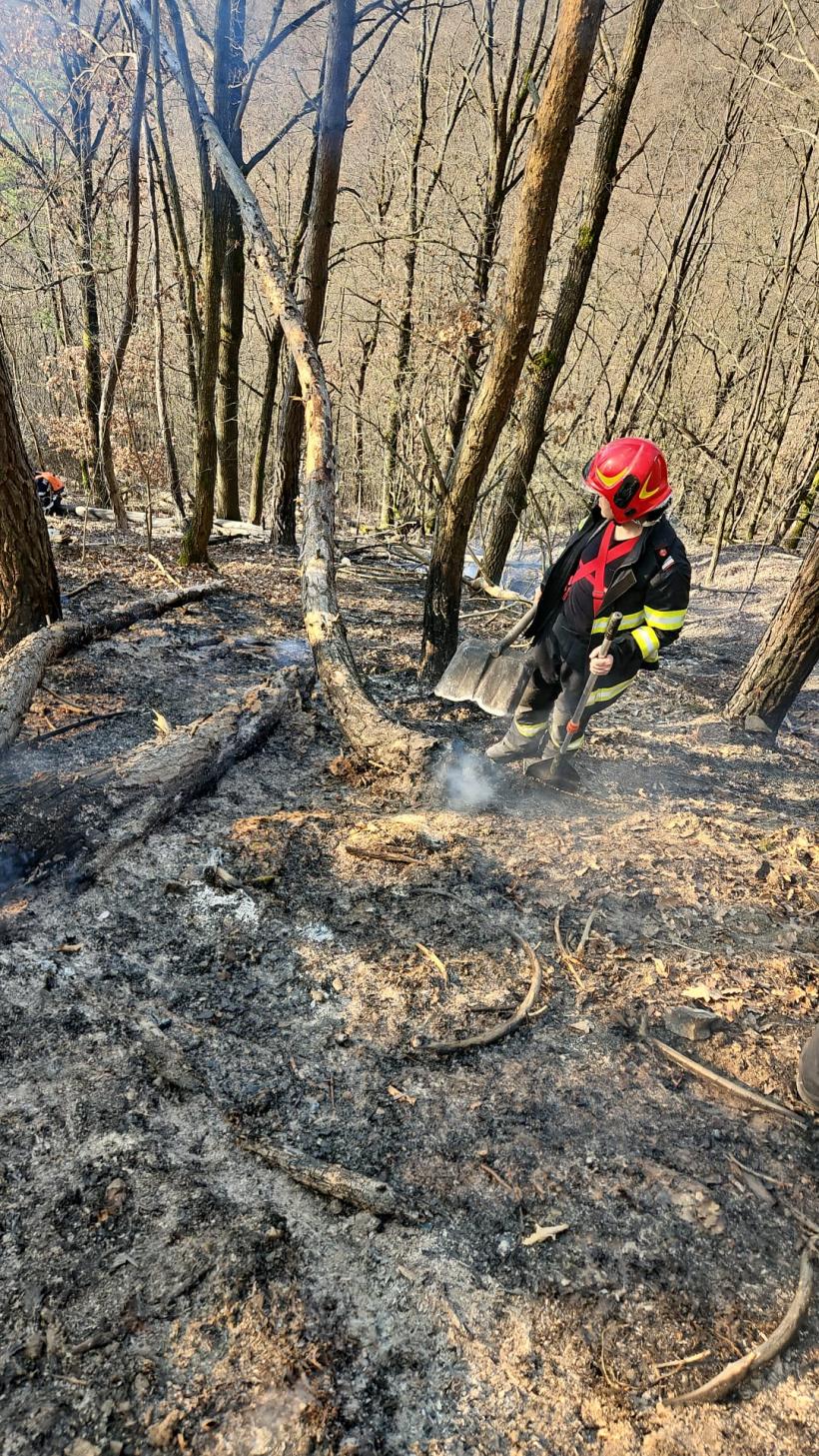 Incendiile de vegetație din Nănești și Racșa au fost lichidate 18999090