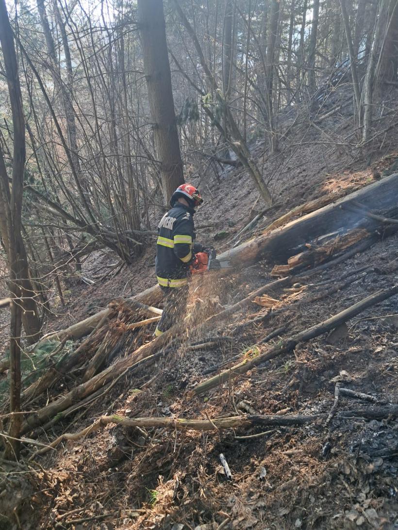 Incendiile de vegetație din Nănești și Racșa au fost lichidate 18999091