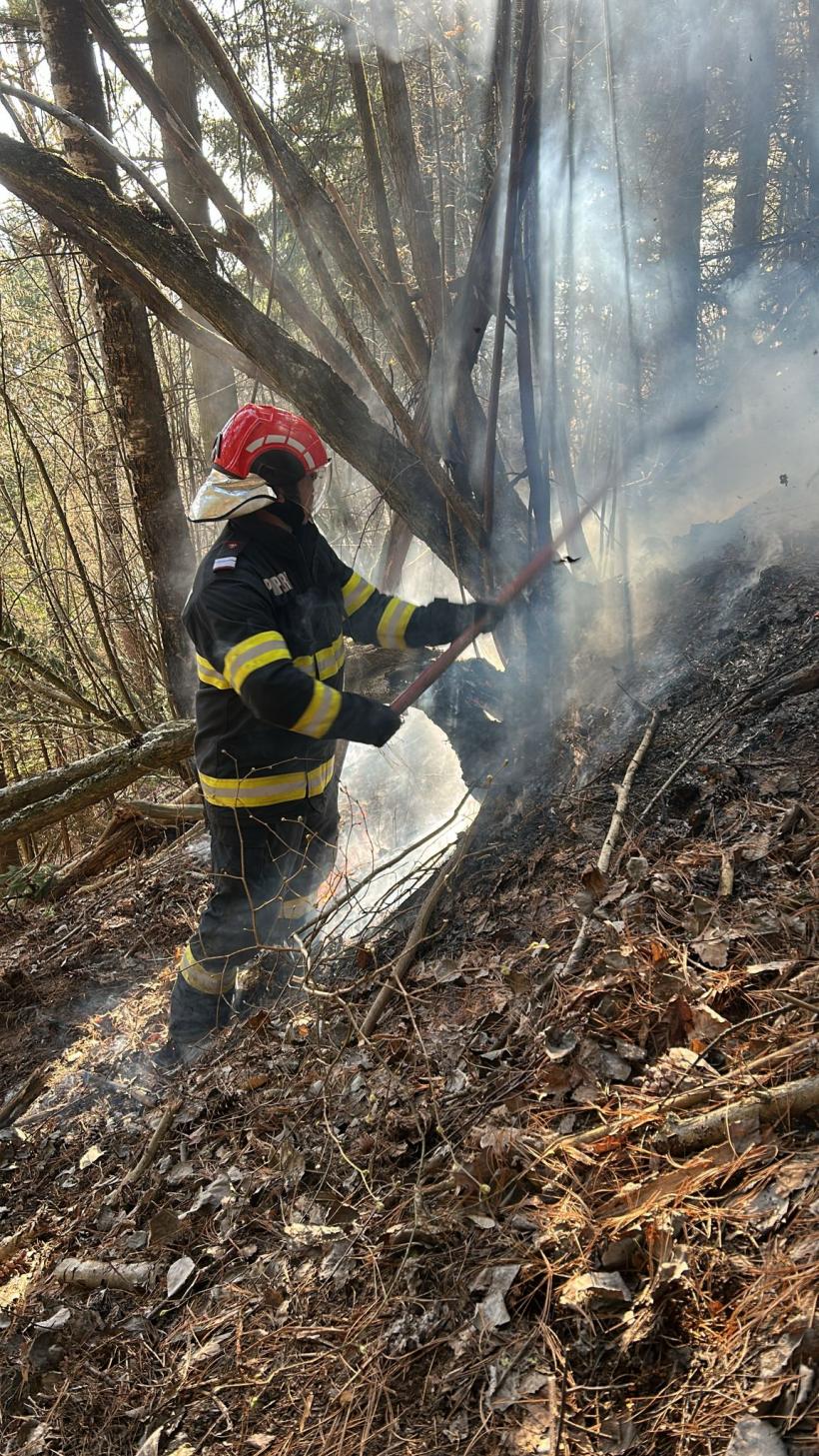Incendiile de vegetație din Nănești și Racșa au fost lichidate 18999092