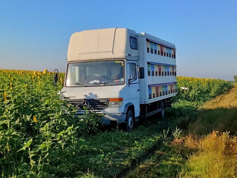 Mașinile folosite la transportul albinelor, scutite de impozitul auto