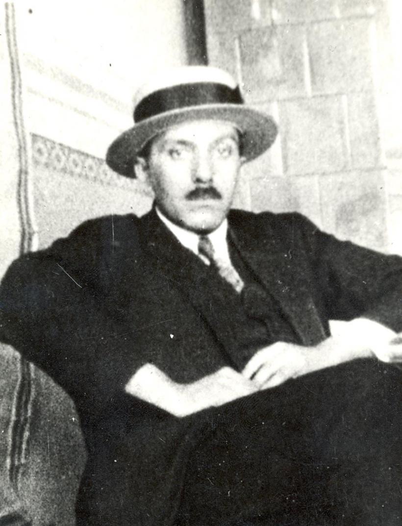 Ion Barbu, poezie și politică 18999181