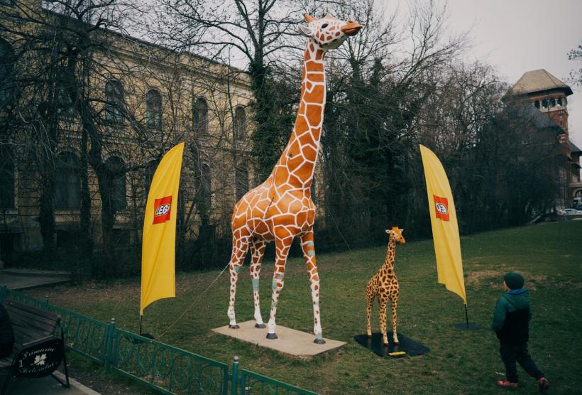 Girafa de la Antipa și LEGO îi învață pe copii să iubească animalele