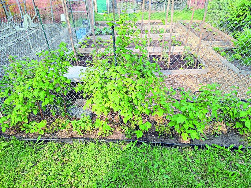 Detroit, orașul care a inventat drumul, începe să-l calculeze 18999669