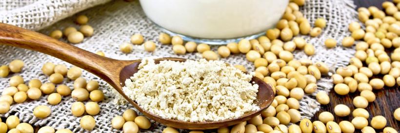 7 beneficii ale consumului de soia. Care sunt riscurile asupra sănătății?