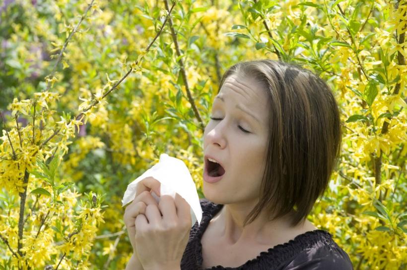 A început iadul alergiilor! Ignori strănutul? Regretul vine rapid