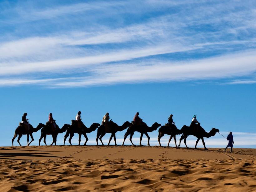 Descoperire șocantă în Sahara: 200 de schelete de oameni au fost găsite într-un cimitir preistoric