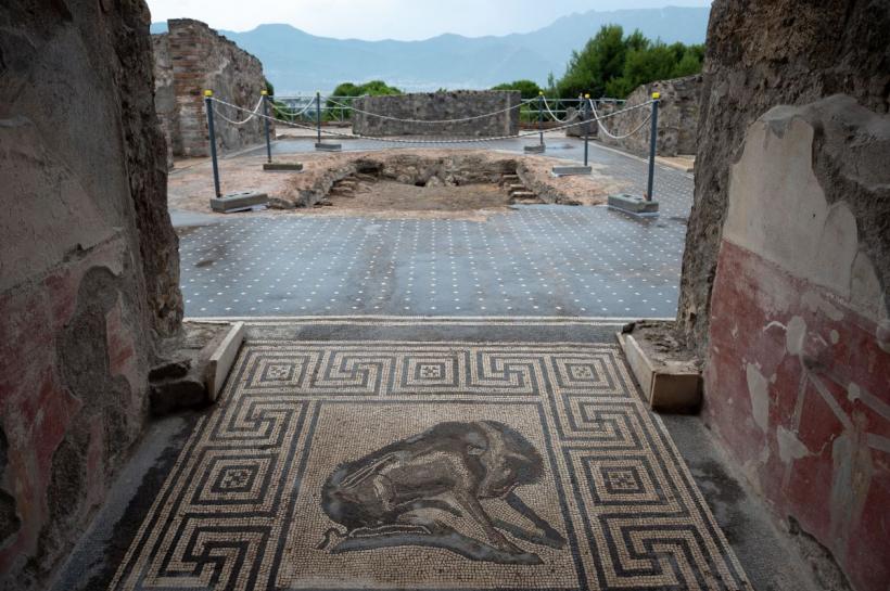 Tradiția romană a vinului, revitalizată în situl arheologic Pompei: Struguri cultivați printre ruine