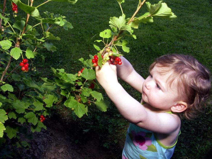 4 zodii atrag noroc și abundență pe 22 martie 2026: conjuncția Soare–Neptun schimbă destine