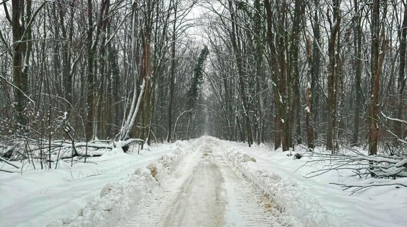 7.000 de locuitori vor merge pe potecă, spre un cartier de lux 19000050