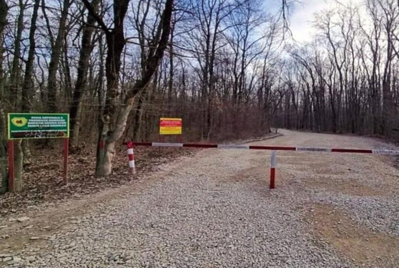 7.000 de locuitori vor merge pe potecă, spre un cartier de lux 19000052