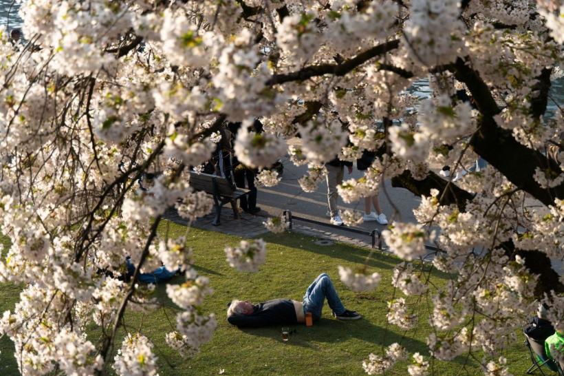 Astrele confirmă: aceste zodii câștigă totul datorită răbdării lor incredibile