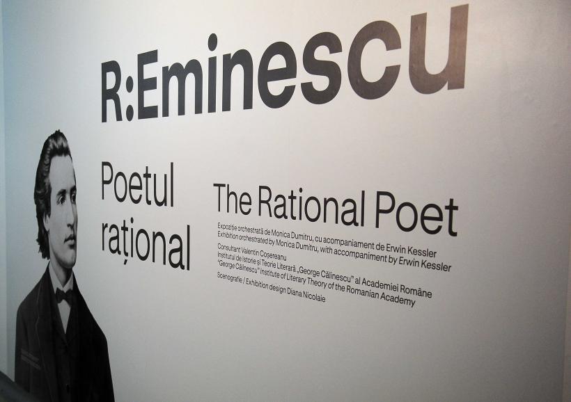 Noul muzeu Art Safari din Amzei 13: experiența culturală care cucerește Bucureștiul în 2026 19000586