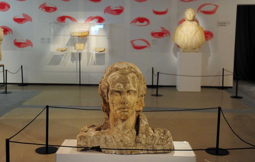 Noul muzeu Art Safari din Amzei 13: experiența culturală care cucerește Bucureștiul în 2026 19000590