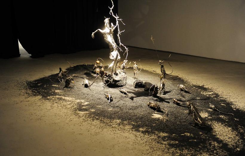 Noul muzeu Art Safari din Amzei 13: experiența culturală care cucerește Bucureștiul în 2026 19000613