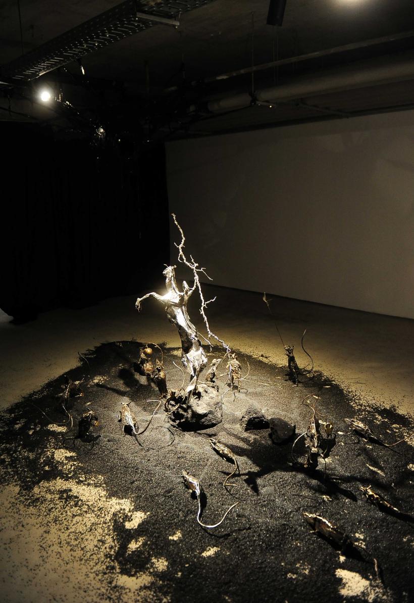 Noul muzeu Art Safari din Amzei 13: experiența culturală care cucerește Bucureștiul în 2026 19000617