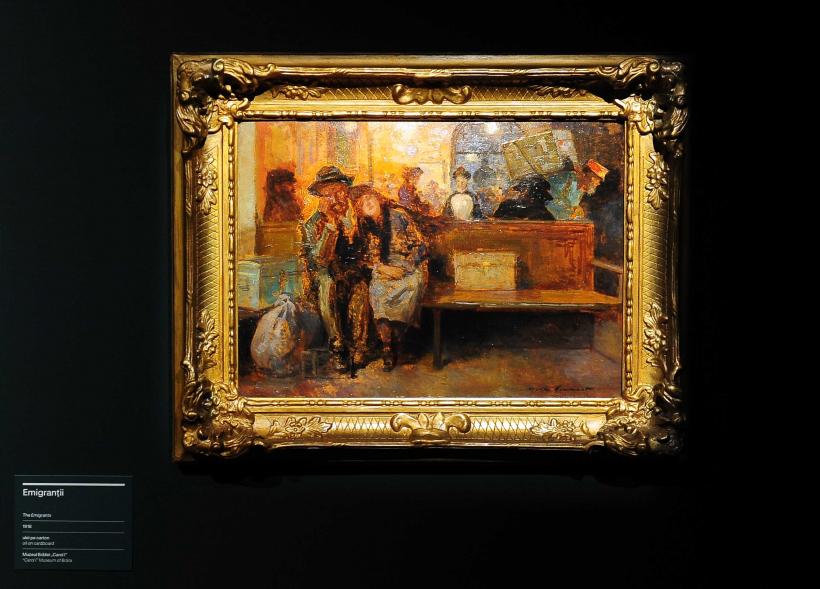 Noul muzeu Art Safari din Amzei 13: experiența culturală care cucerește Bucureștiul în 2026 19000624