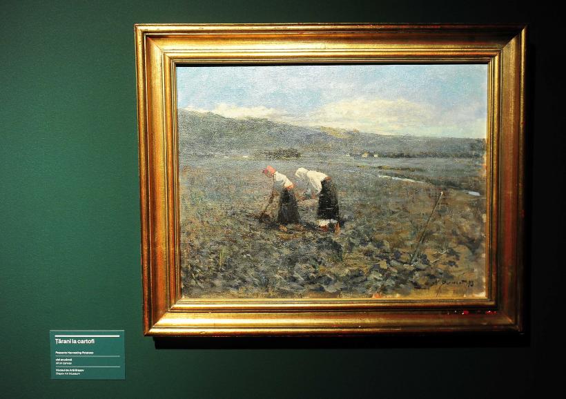 Noul muzeu Art Safari din Amzei 13: experiența culturală care cucerește Bucureștiul în 2026 19000631