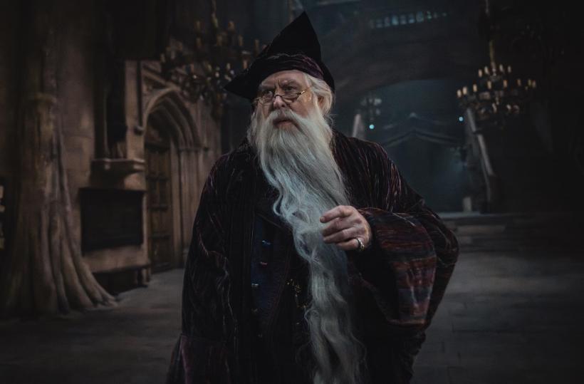 Harry Potter se întoarce! Când va avea premiera serialul 19000686
