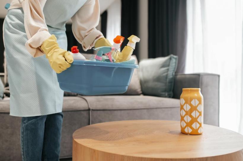 Fără stres și efort: Descoperă avantajele serviciilor oferite de Domestina