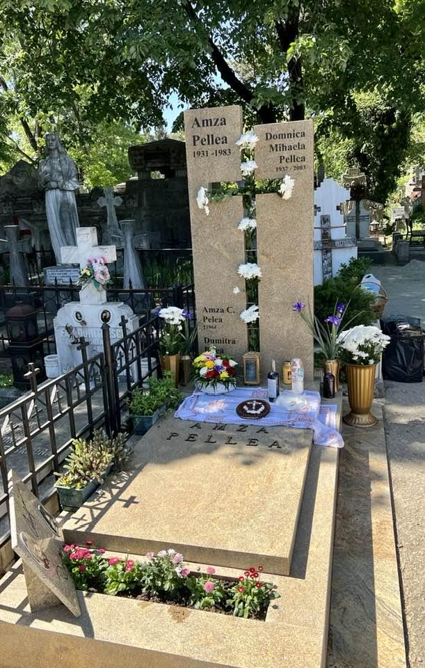 „Unde sunt banii?” Oana Pellea, acuzații grave după ani de procese pentru drepturile lui Amza Pellea