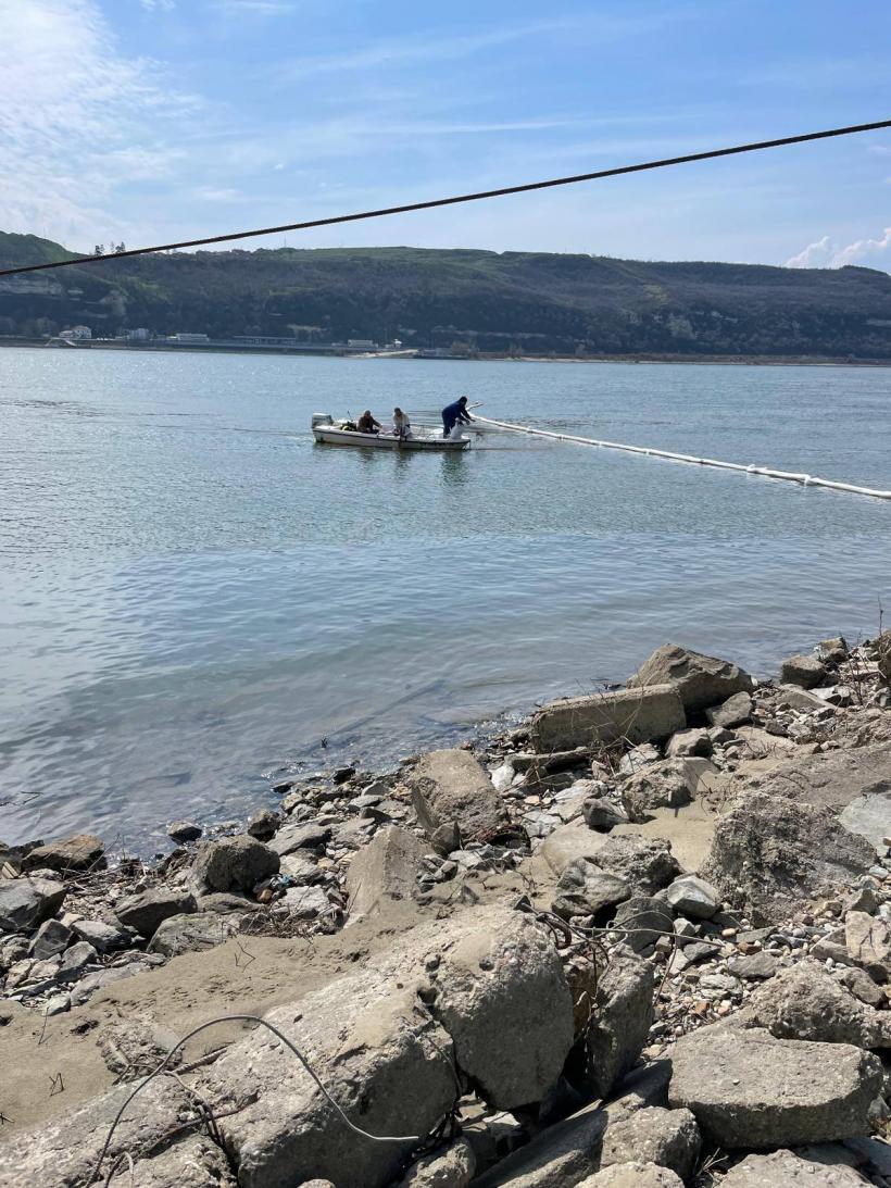 Poluare pe Dunăre la Turnu Măgurele: autoritățile au oprit apa potabilă și intervin de urgență 19000759