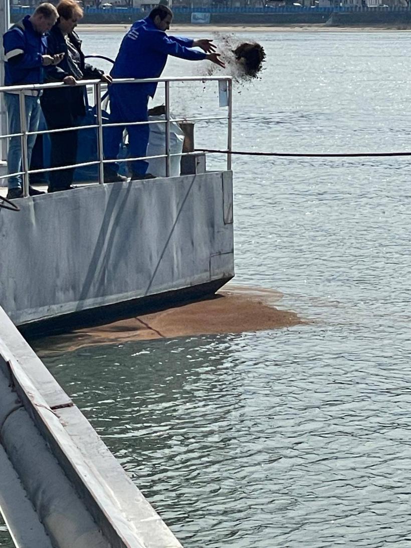 Poluare pe Dunăre la Turnu Măgurele: autoritățile au oprit apa potabilă și intervin de urgență 19000760