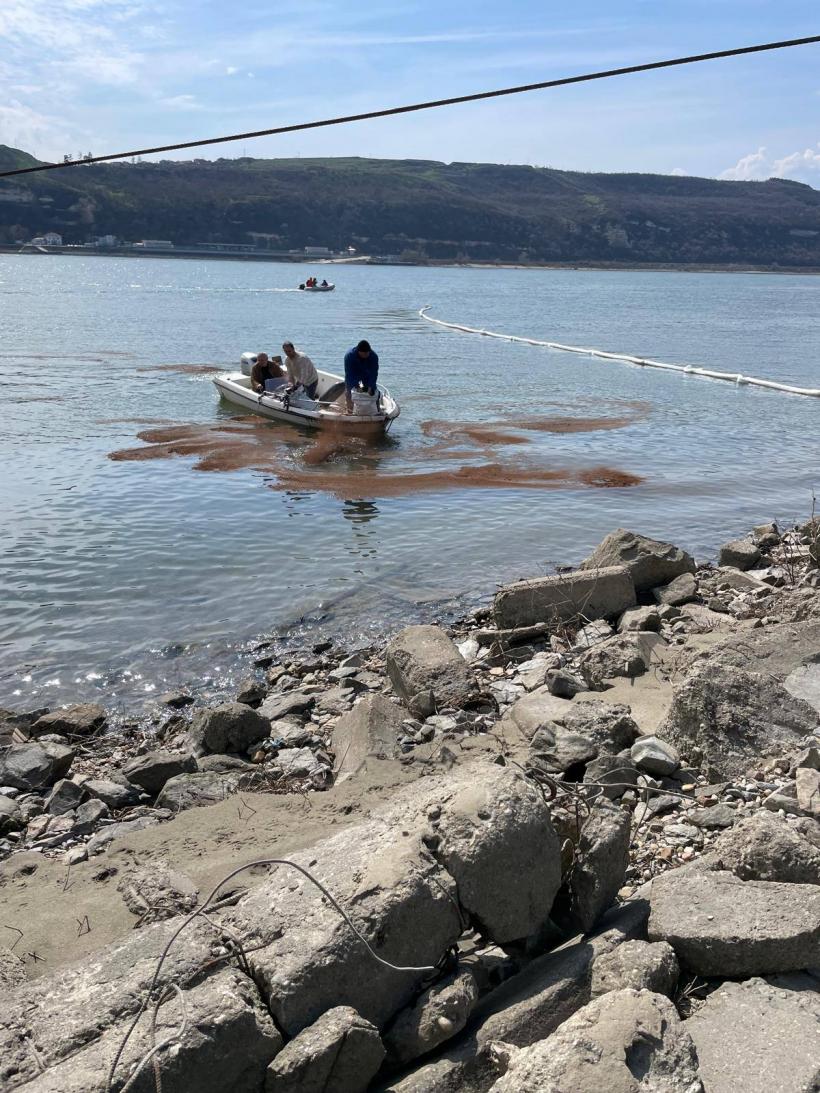 Poluare pe Dunăre la Turnu Măgurele: autoritățile au oprit apa potabilă și intervin de urgență 19000761